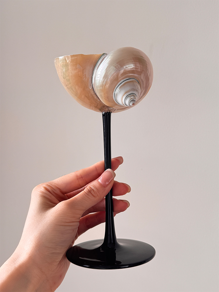 Natürliche Muschelschale, Cham – Home Bar Set Bewertung und Preis
